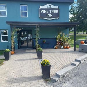 Pine Tree Inn